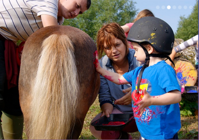 horses & h