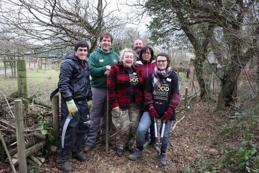 The Conservation Volunteer Team at Swansea Community Farm