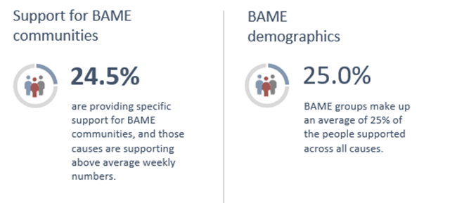 support for bame communities