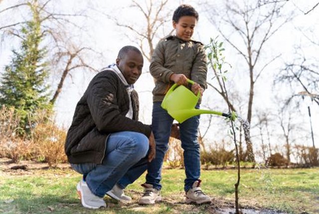 seeds for change environment tree planting