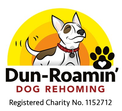 private dog rehoming