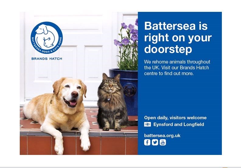 Battersea dogs home sales brands hatch