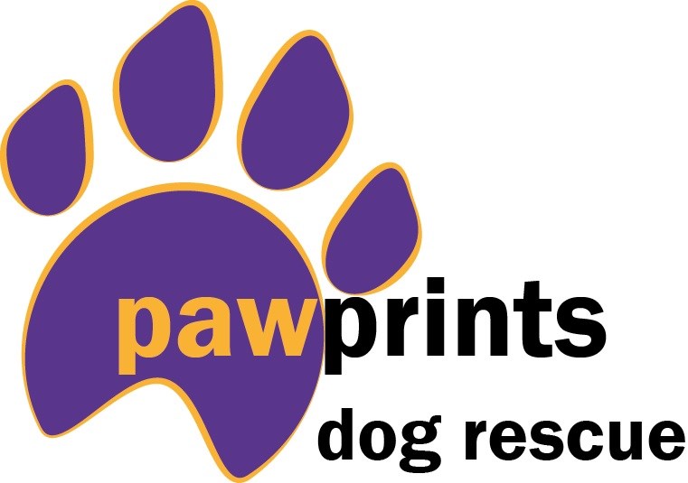 Pawprints store dog rescue