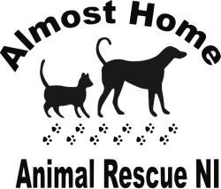 almost home dog rescue