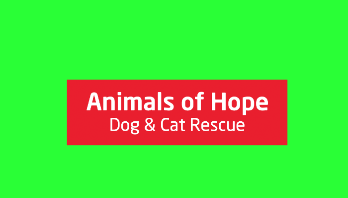 Animals Of Hope Gallery Neighbourly - 