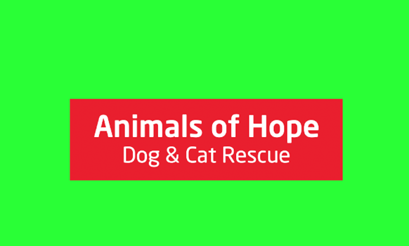 Animals Of Hope Gallery Neighbourly - 