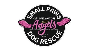 Little angels dog hot sale rescue