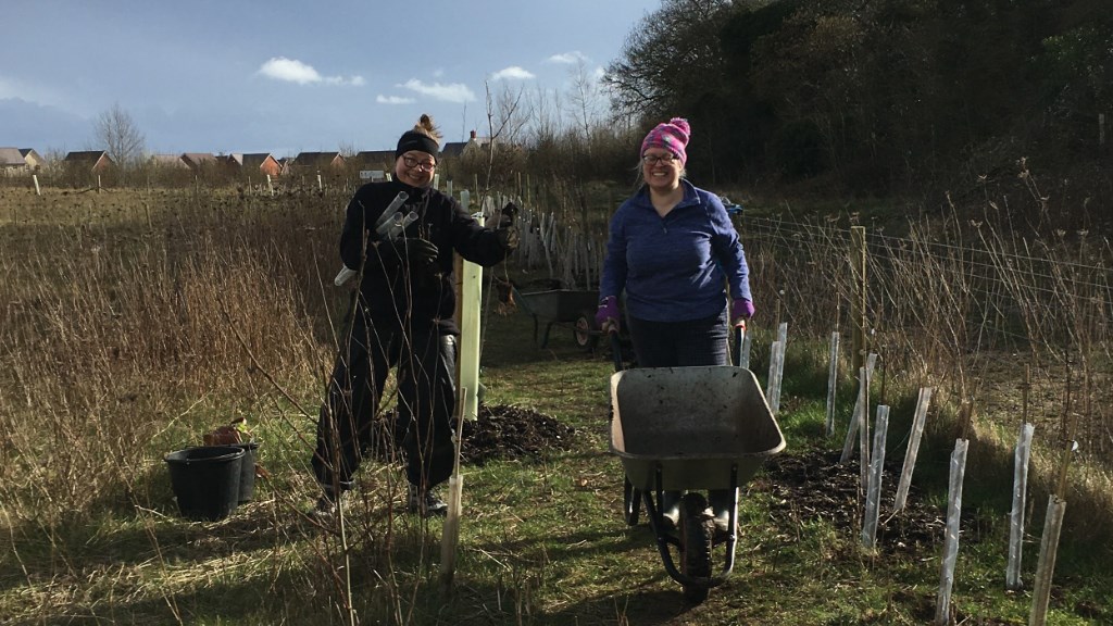 Andover Trees United Neighbourly